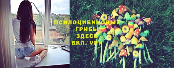 твердый Белокуриха