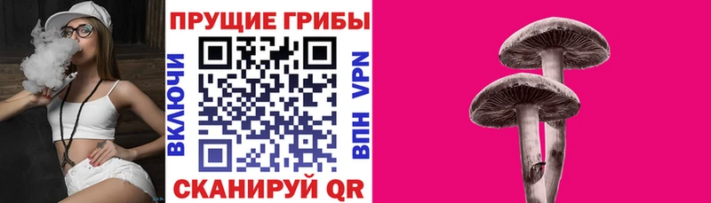 Галлюциногенные грибы мицелий  Томилино 